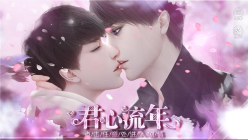 君心流年