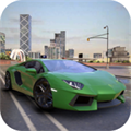 真实停车场2023无限金币版
