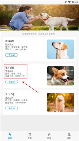 小兔乐跑app 小兔乐跑app