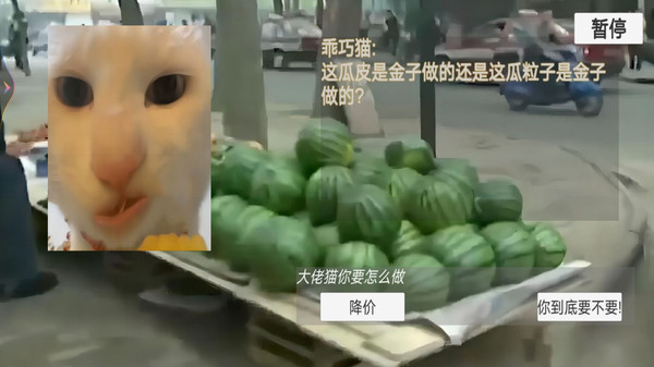 猫猫惊魂夜恐怖版截图